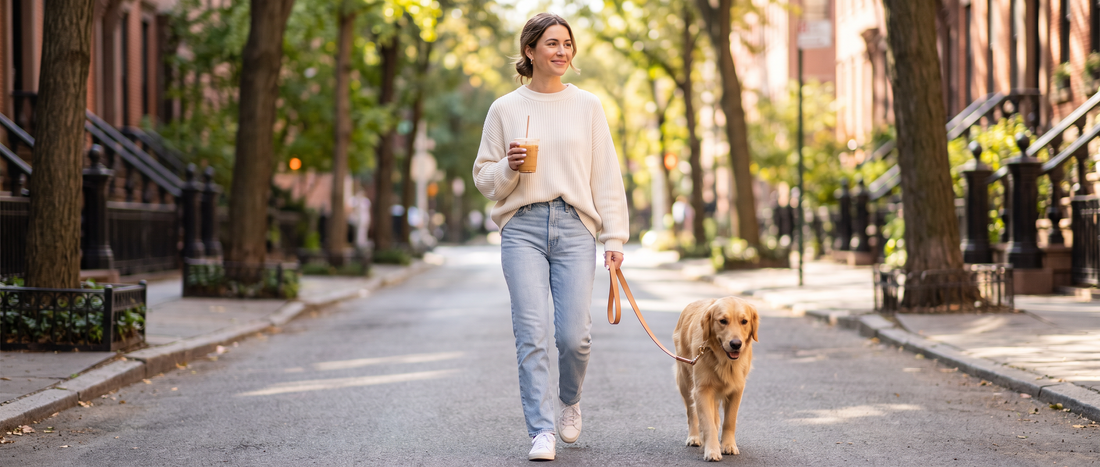 Woman walking a golden retriever on a sunny sidewalk, holding an iced coffee, wearing pink almond nails